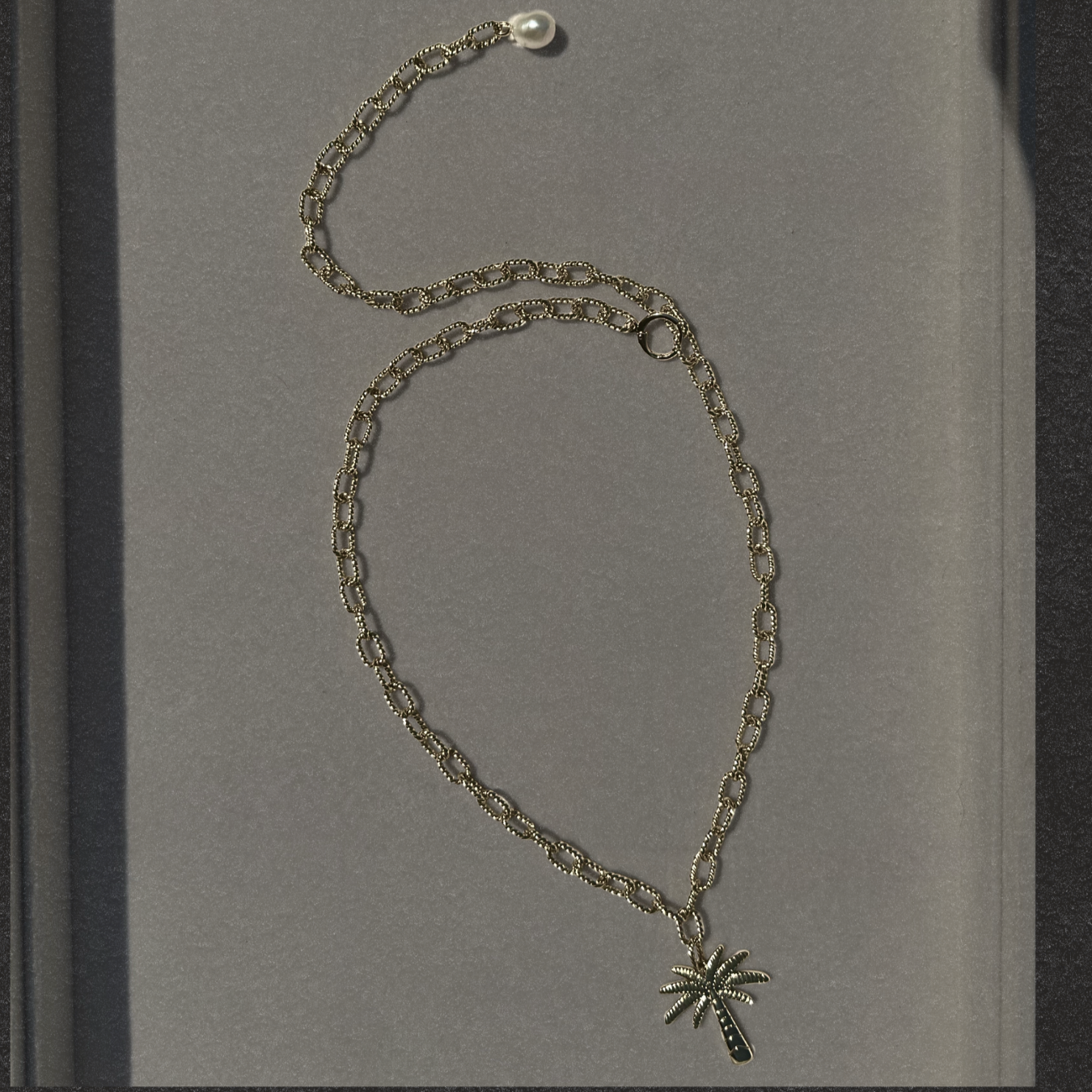 Necklace with a palm tree pendant on a gray background
