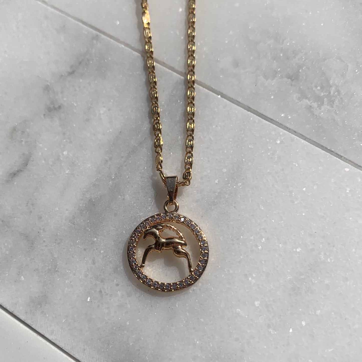 Zodiac Capricorn Gold Necklace-Au+ORA