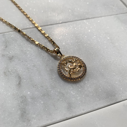 Zodiac Aquarius Necklace-Au+ORA