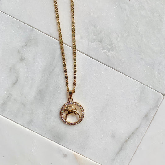 Zodiac Capricorn Gold Necklace-Au+ORA