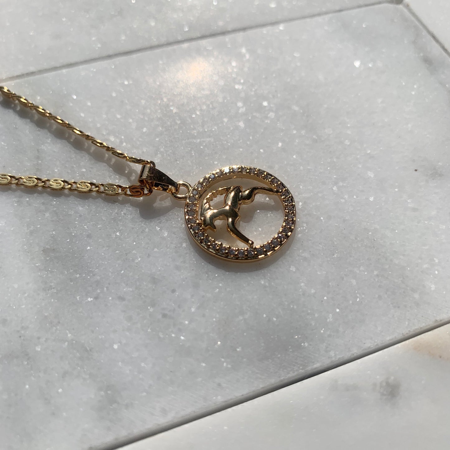 Zodiac Capricorn Gold Necklace-Au+ORA